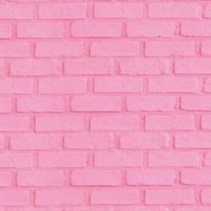 Meet your Posher, Shantii